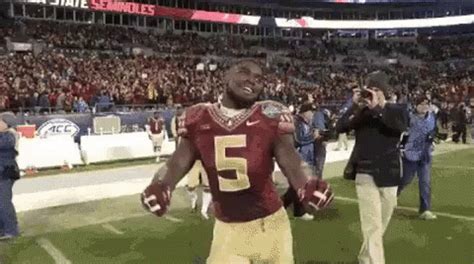 fsu gif